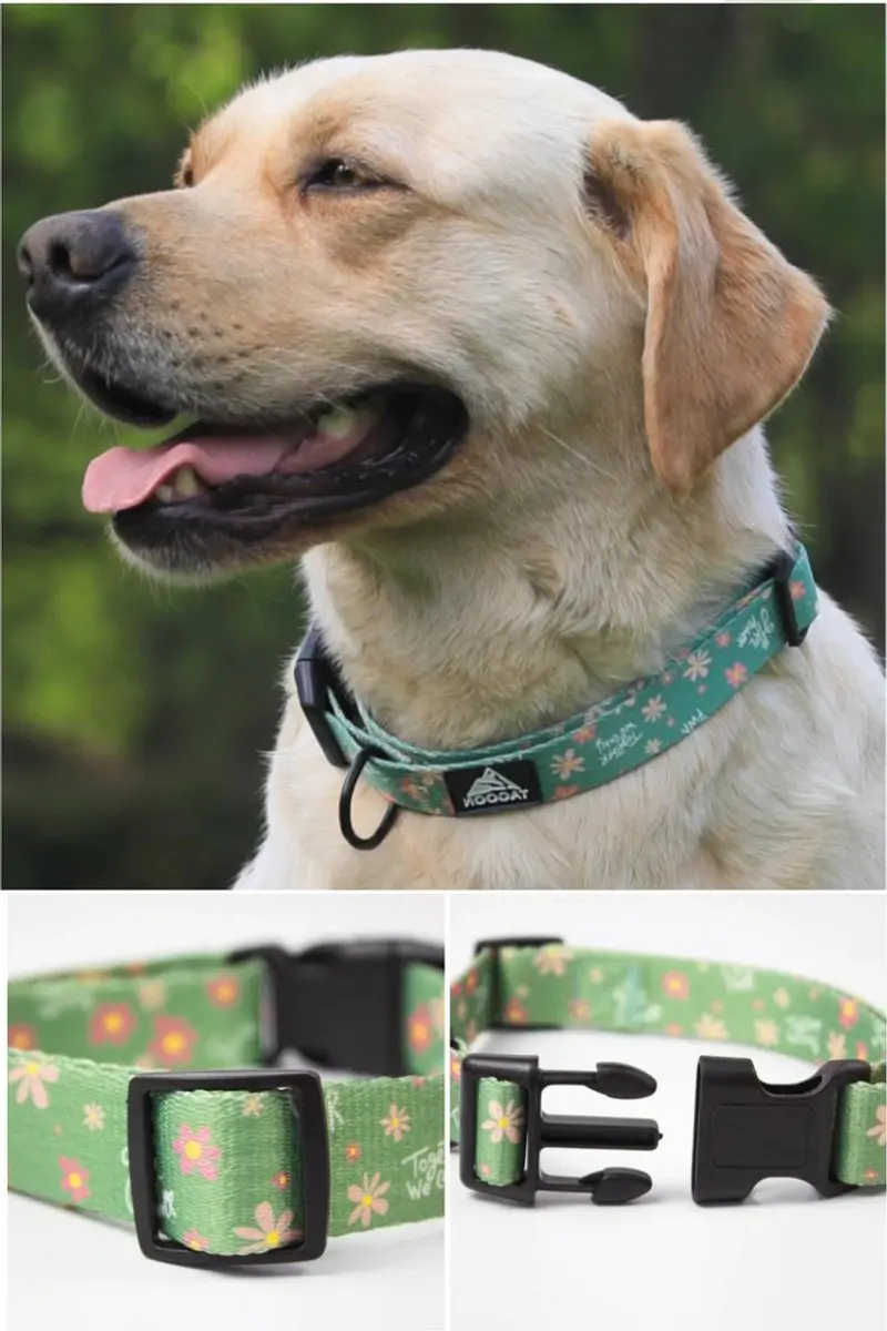 Collar floreado con hebilla - Verde