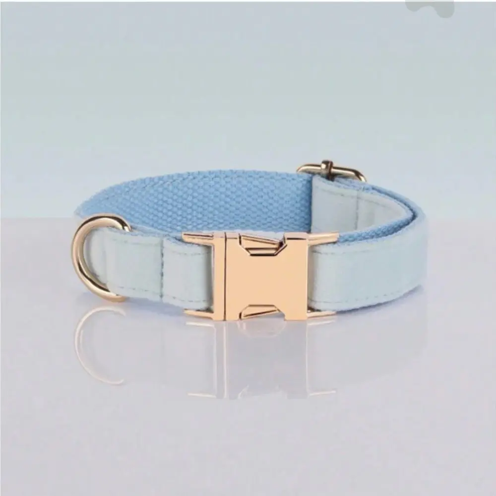 Collar de terciopelo con hebilla dorada - Celeste