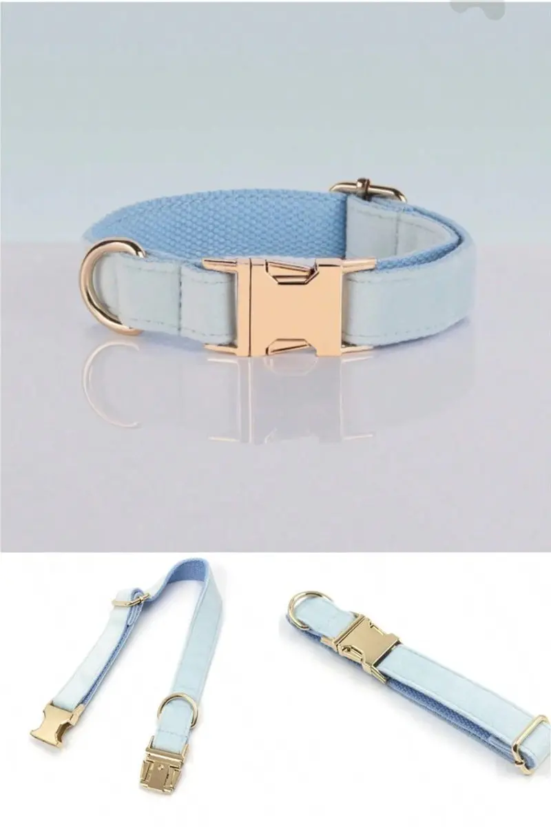 Collar de terciopelo con hebilla dorada - Celeste