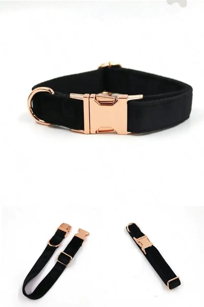 Collar de terciopelo con hebilla dorada - Negro