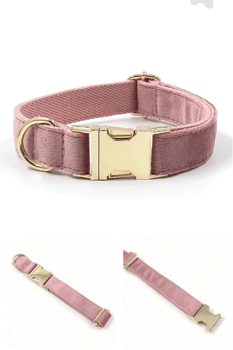 Collar de terciopelo con hebilla dorada - Champán