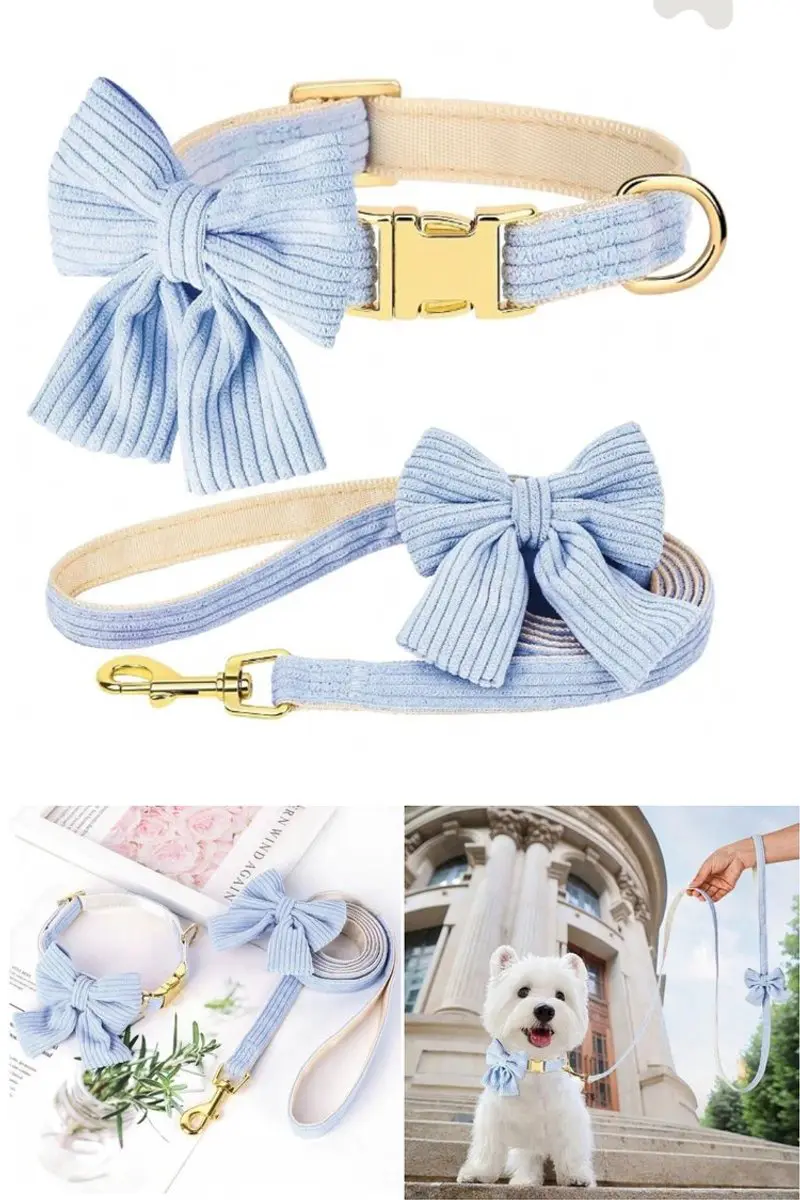 Collar con correa de moño - Celeste