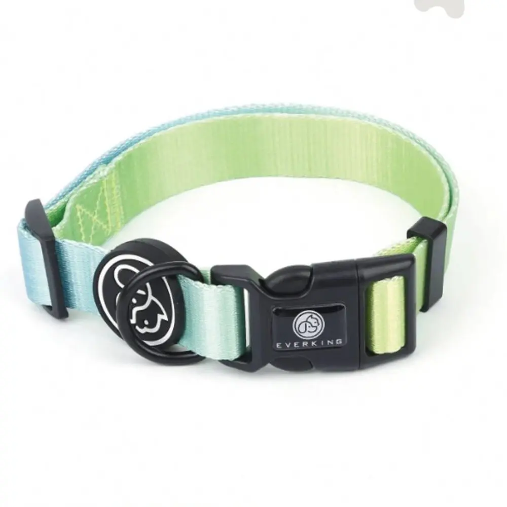 Collar verde menta